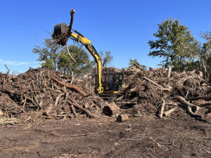 land clearing services in Tampa