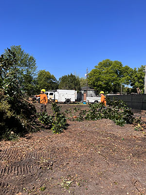 JD's Tree Service Crew Plant City, FL